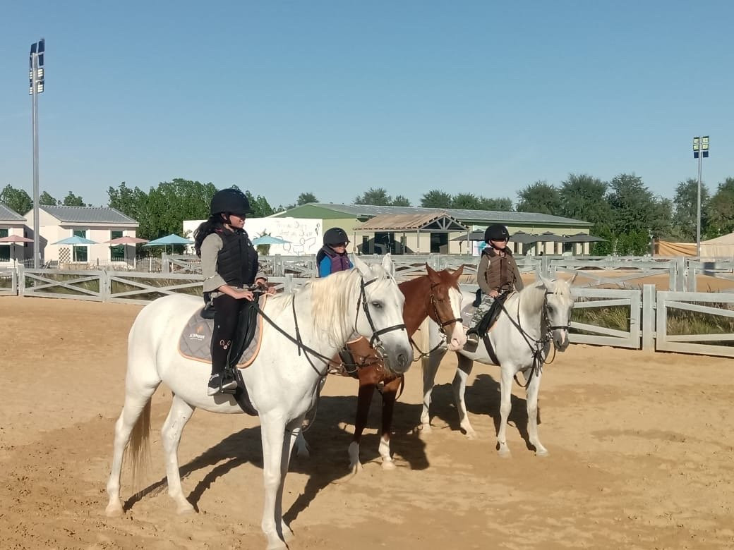 Al Jumooh-Al Awir必去景点