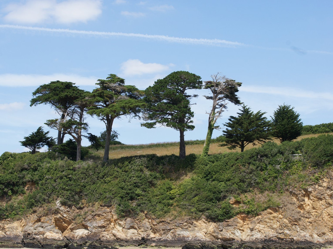 Plage du Ris-Douarnenez必去景点