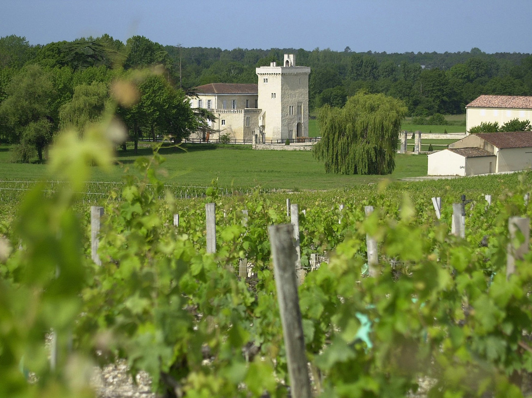 Château La Tour Carnet - Bernard Magrez主图
