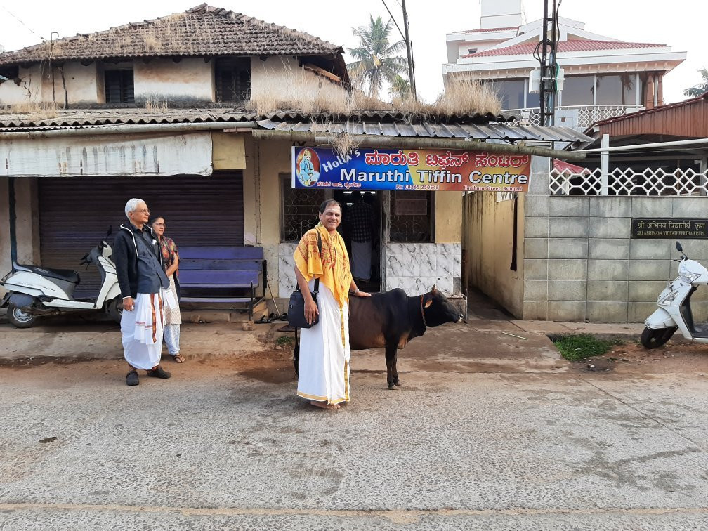 Chikkamagaluru District旅游攻略图片