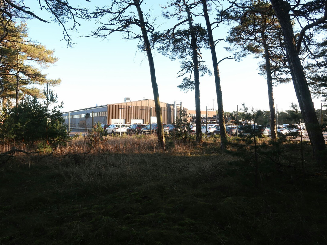 Tulliniemi Nature Path-Hanko必去景点