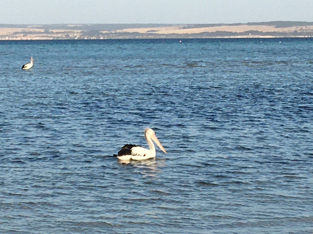 Adagio Bed & Breakfast主图