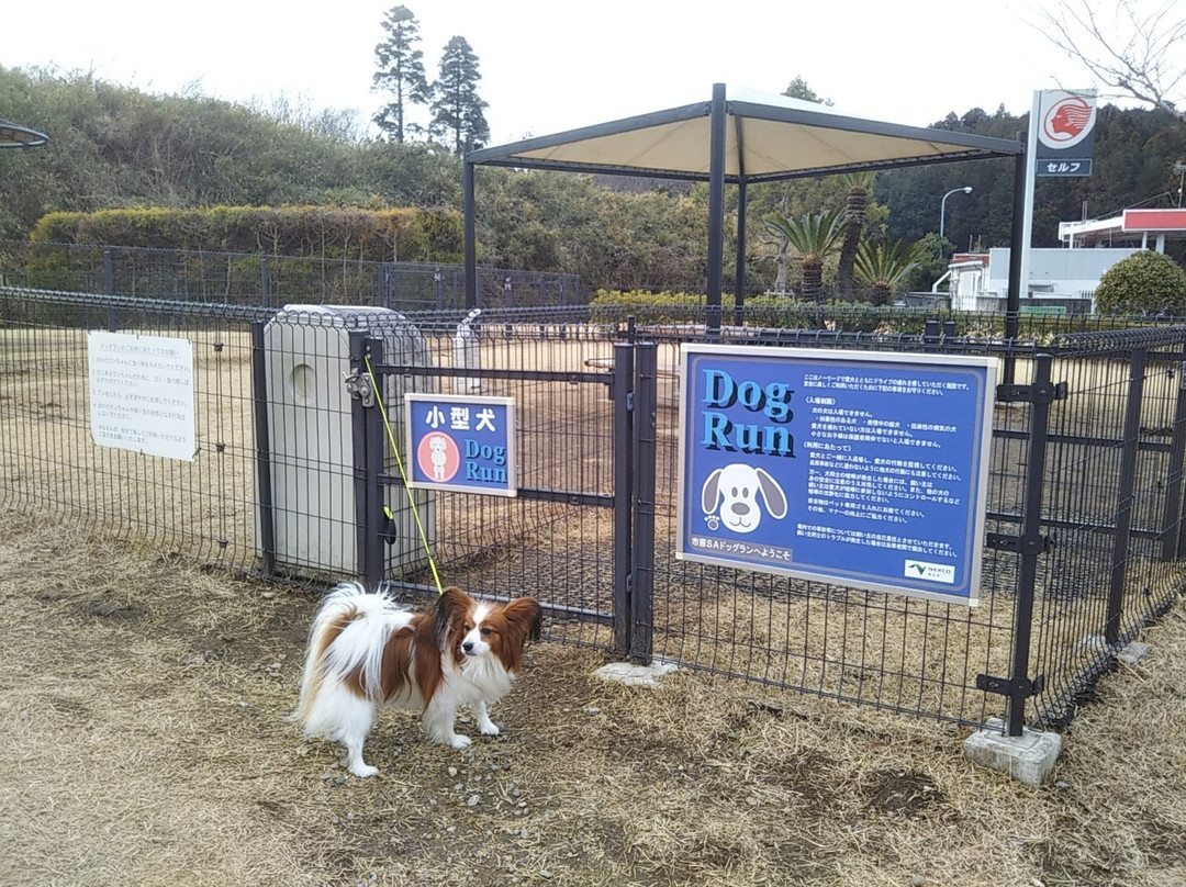 Ichihara Service Area Outbound-市原市必去景点