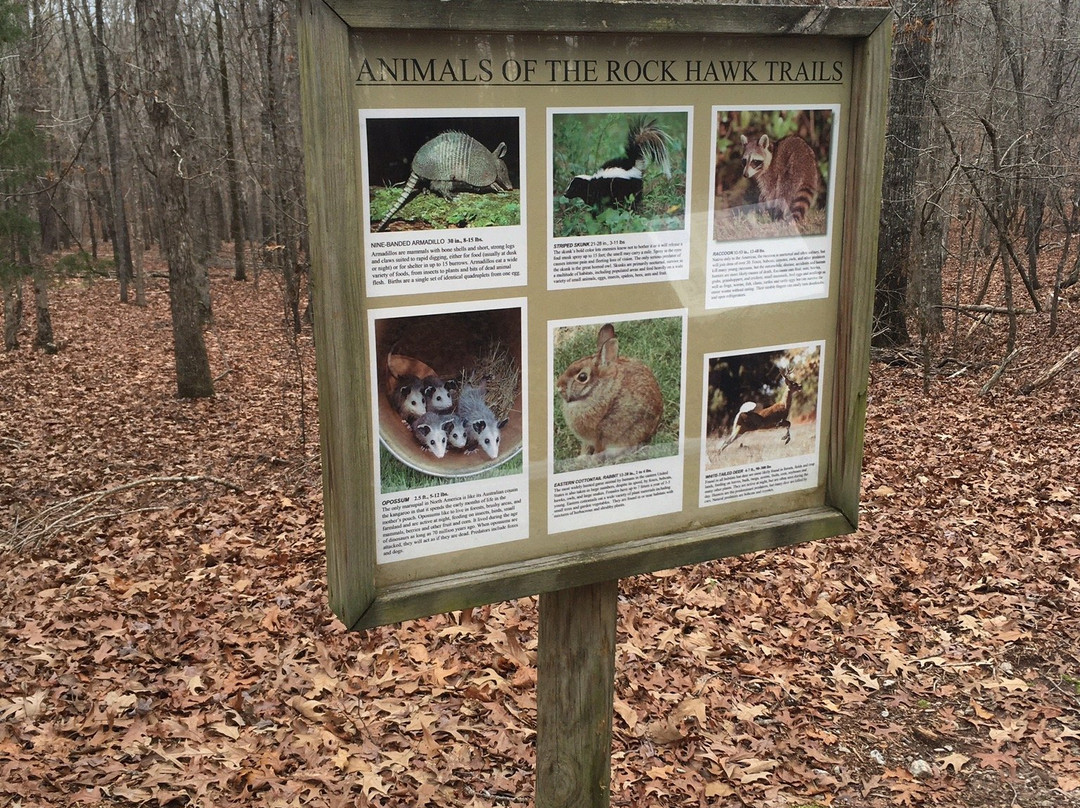 Rock Hawk Effigy and Trails-Eatonton必去景点