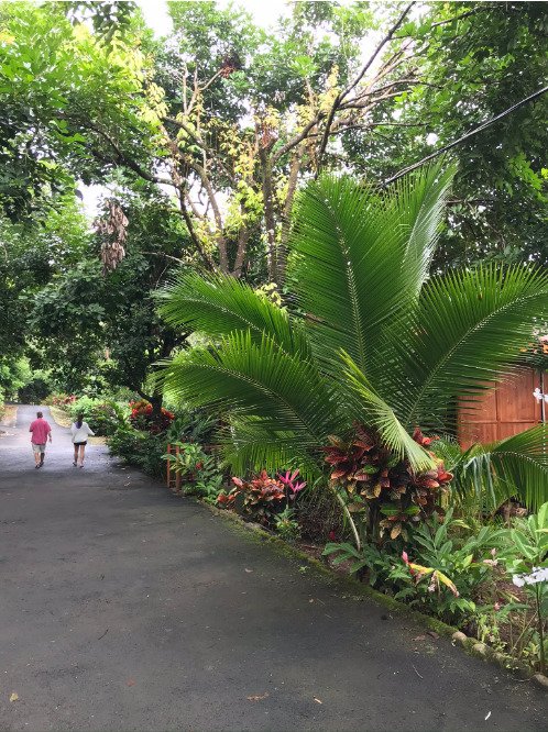 Heliconias Nature Inn & Hot Springs-浴室