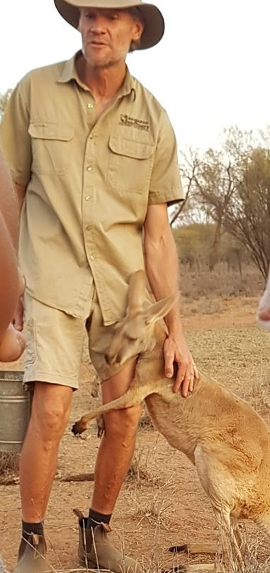 The Kangaroo Sanctuary-爱丽斯泉必去景点