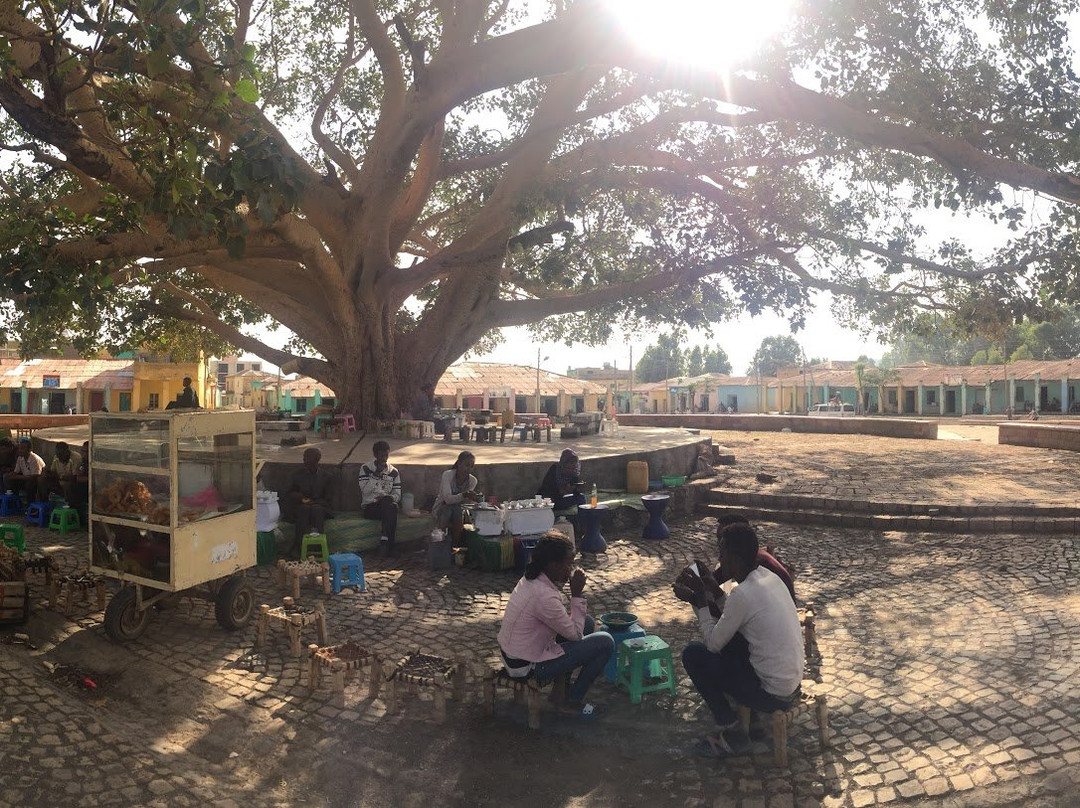 Meskel Ethiopia Tours景点图片