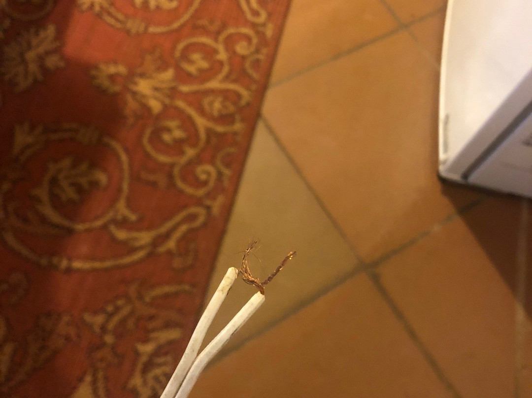 Plaza Medina Hotel主图