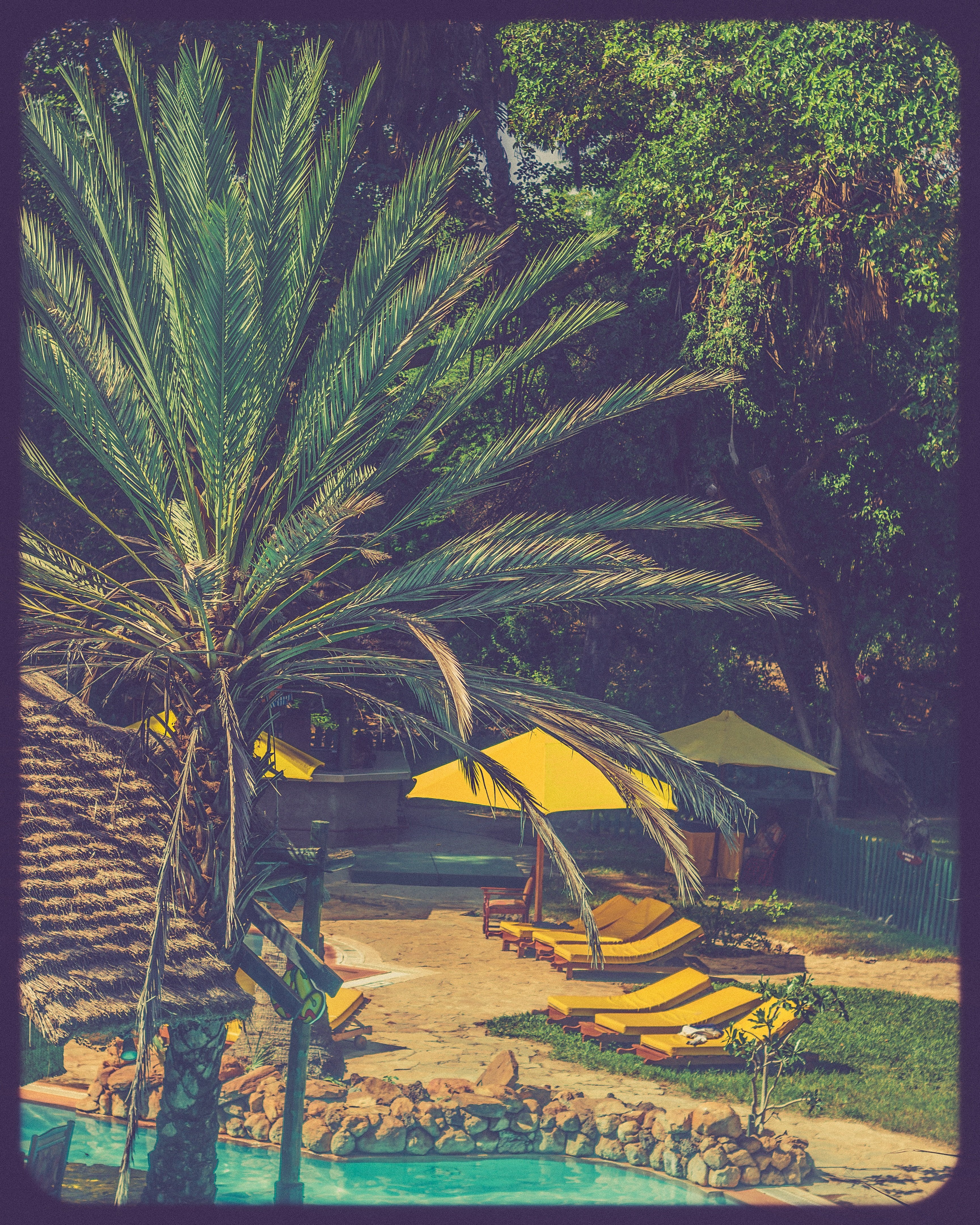 Sarova Shaba Game Lodge-泳池