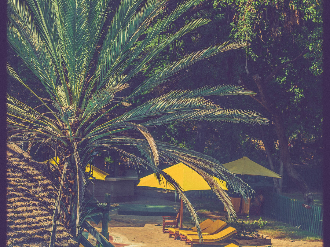 Sarova Shaba Game Lodge主图