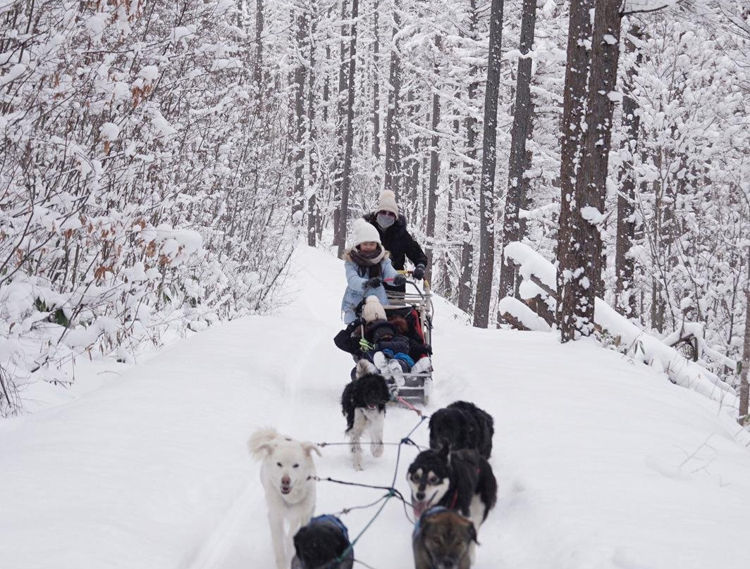 Hokkaido Adventure Tours - Day Tour-南富良野町必去景点