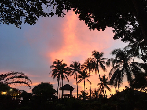 蓝星潜水度假村主图