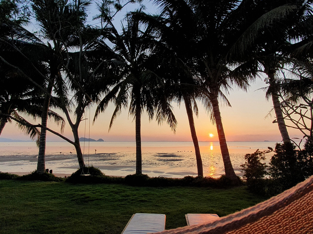 Nibbana Phangan主图