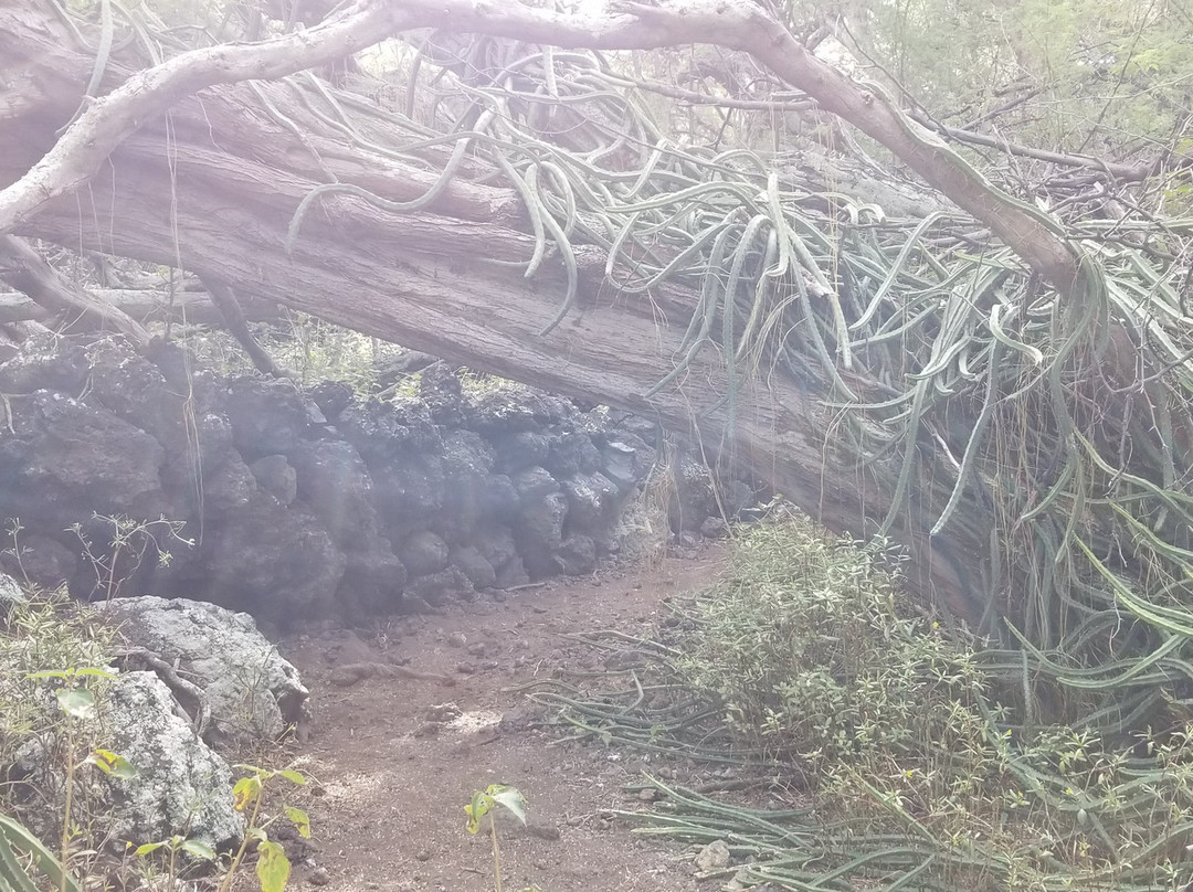 Honomalino Bay-Milolii必去景点