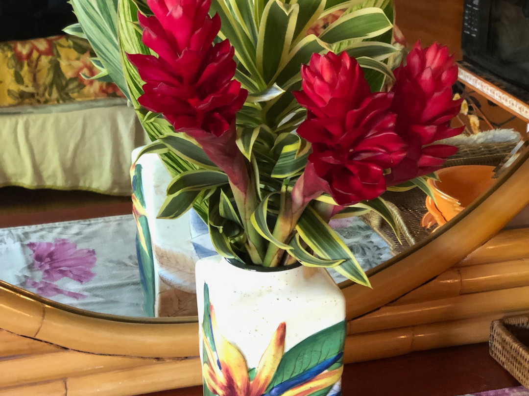 Ocean Breeze Hideaway主图