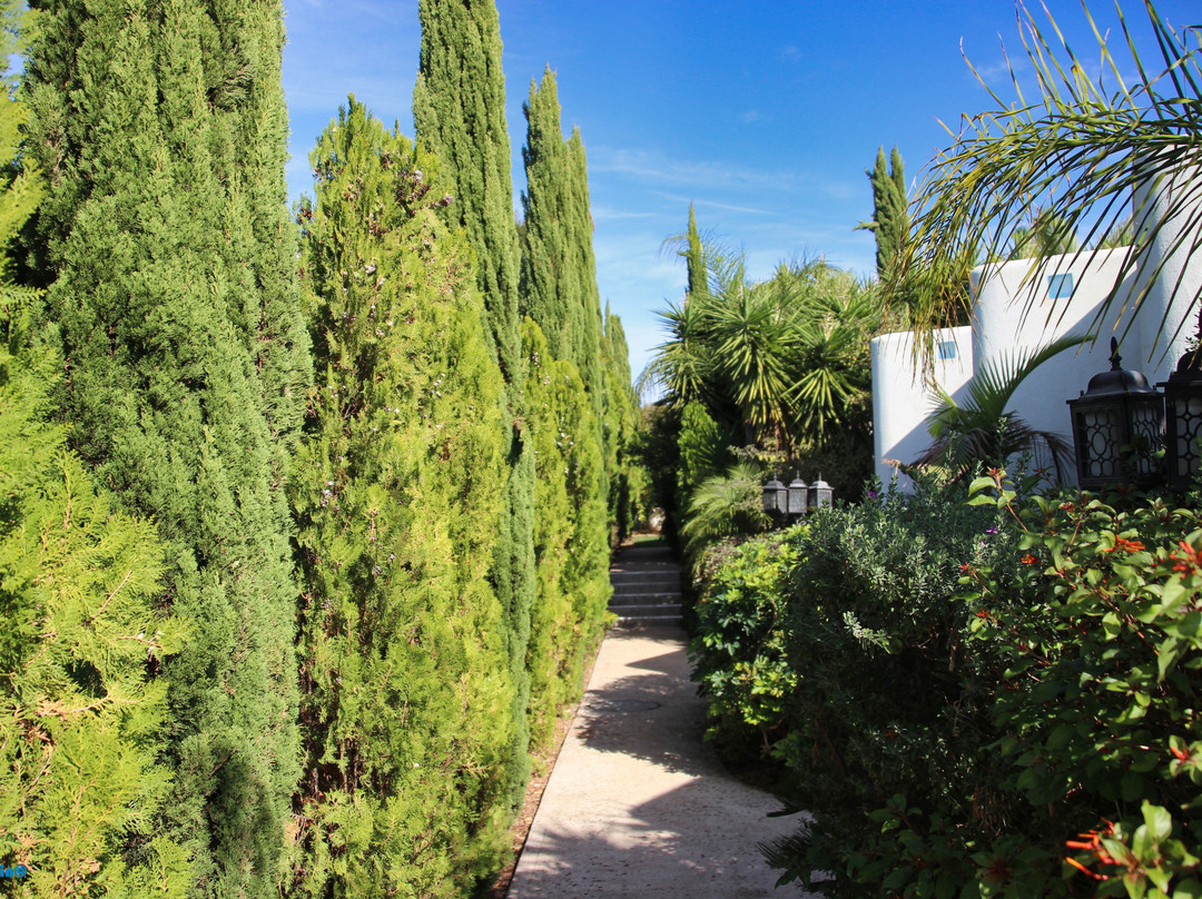 Greek Relaxation主图