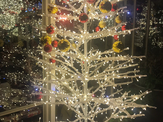 Golden Crown Haifa主图