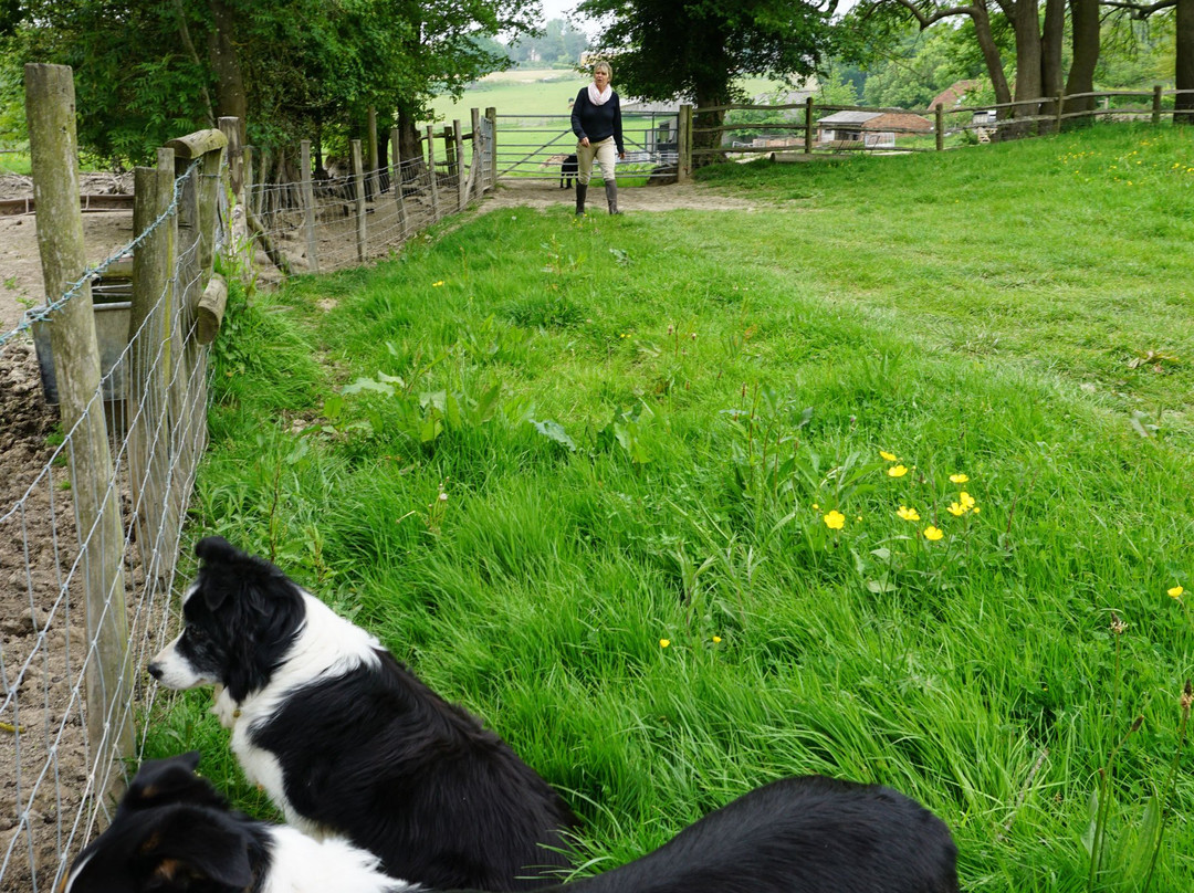 Traveling Spoon-Ticehurst必去景点