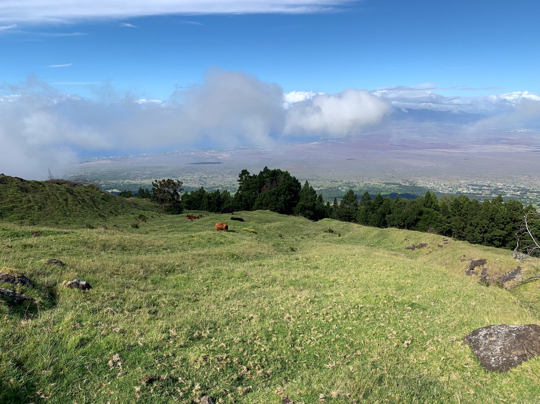 Thompson Ranch Riding Stables-库拉必去景点