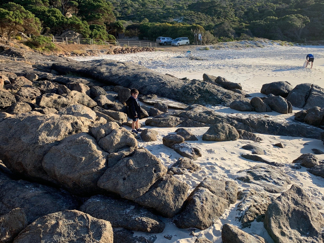 Bremer Bay Dive景点图片