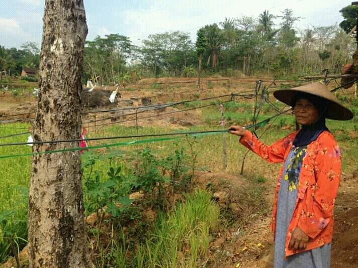 The Gecho Inn Country主图