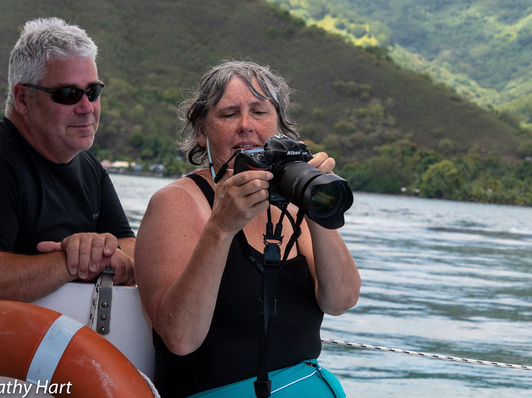 WhaleSwim Adventures-莫雷阿岛必去景点