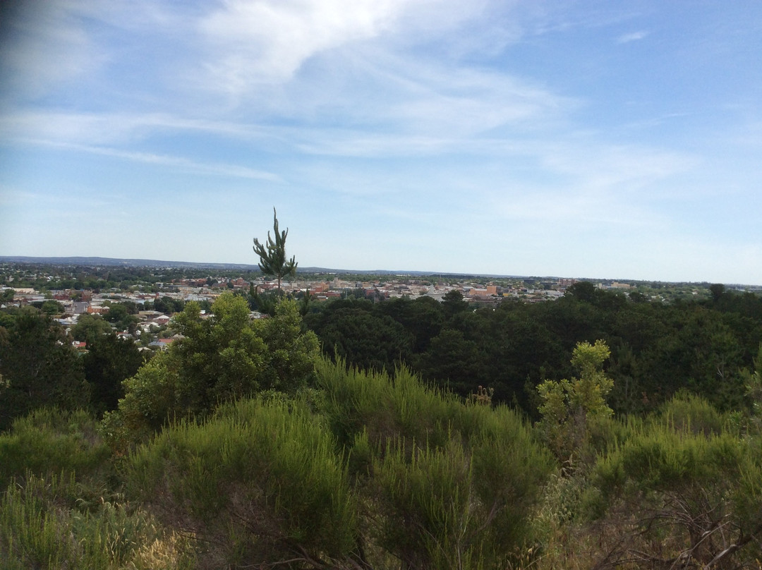 Black Hill Lookout-巴拉瑞特必去景点