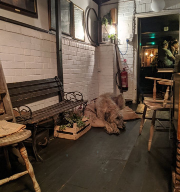 Arboretum-诺威奇必去景点