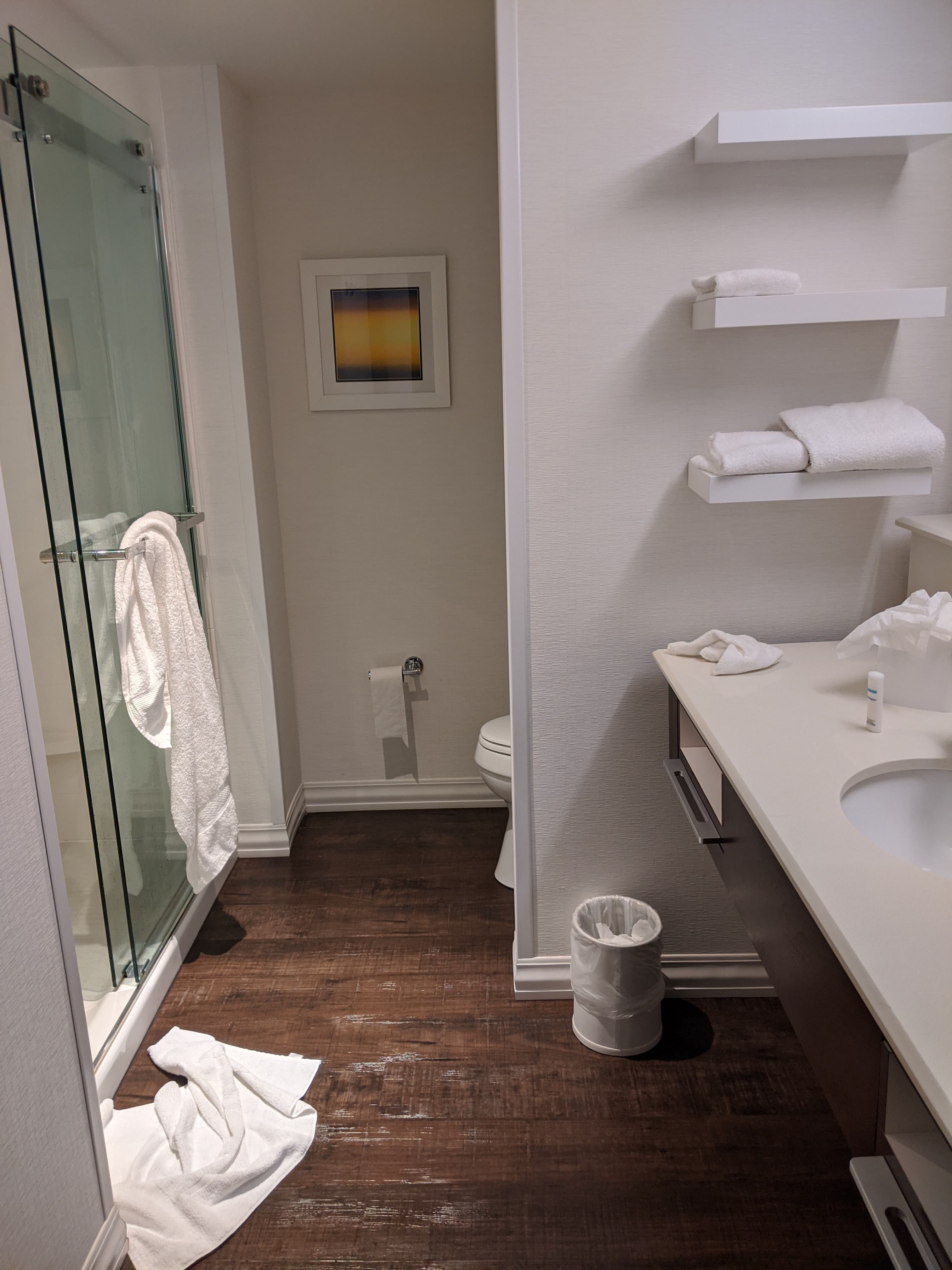 Hampton Inn Lexington Medical Center-浴室