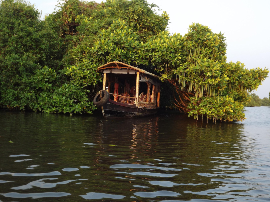 kochibackwaters-柯钦必去景点