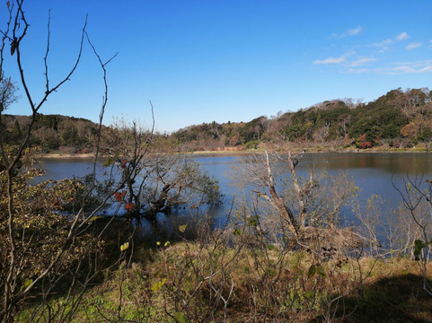 Sodegaura Park-袖浦市必去景点
