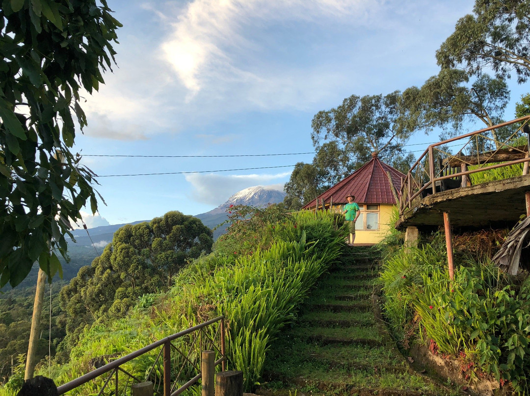 乞力马扎罗山景观旅馆主图