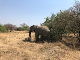 CRA Safari Tours-Iringa必去景点