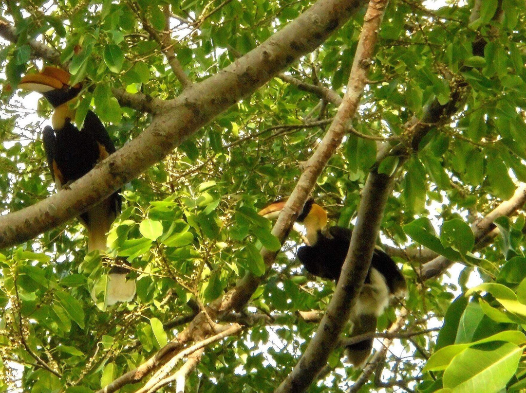 The Courtyard Guesthouse主图