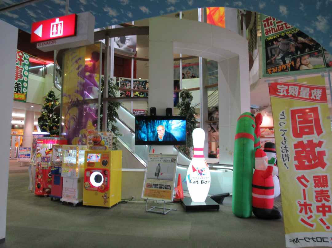 Korona World Odawara-小田原市必去景点