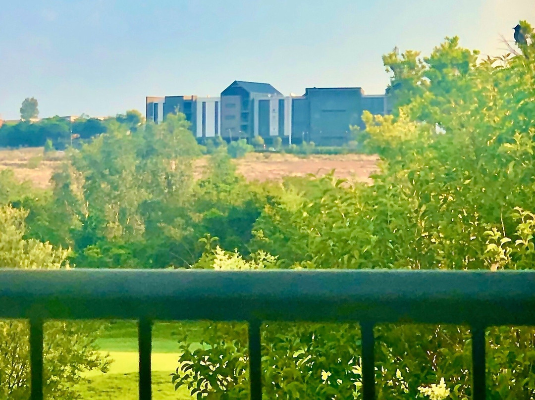 Leopardsong Manor主图