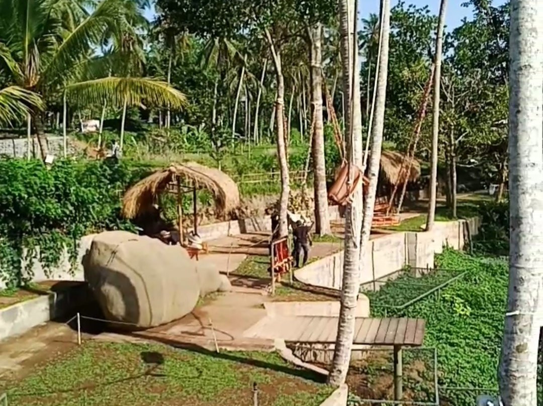 Aloha Ubud Swing-乌布必去景点