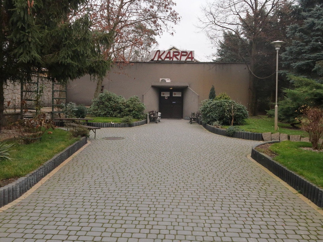 Rogalinek旅游攻略图片