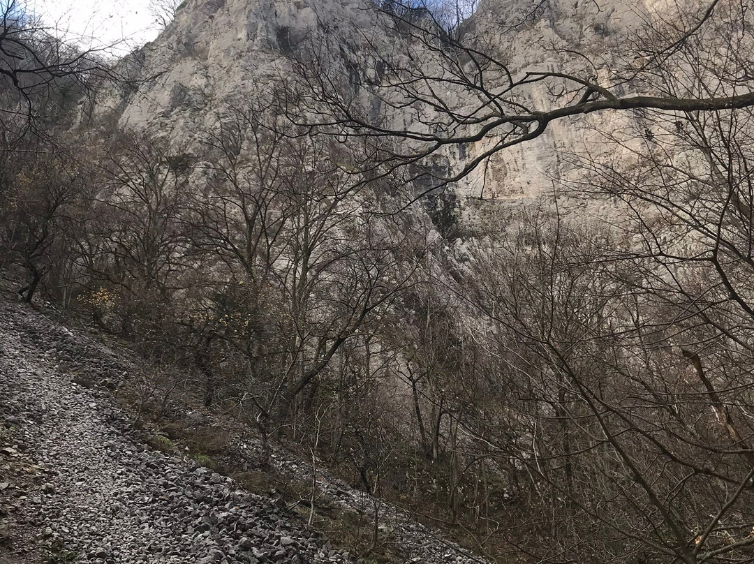 Zadielska tiesnava narrow-Turna nad Bodvou必去景点