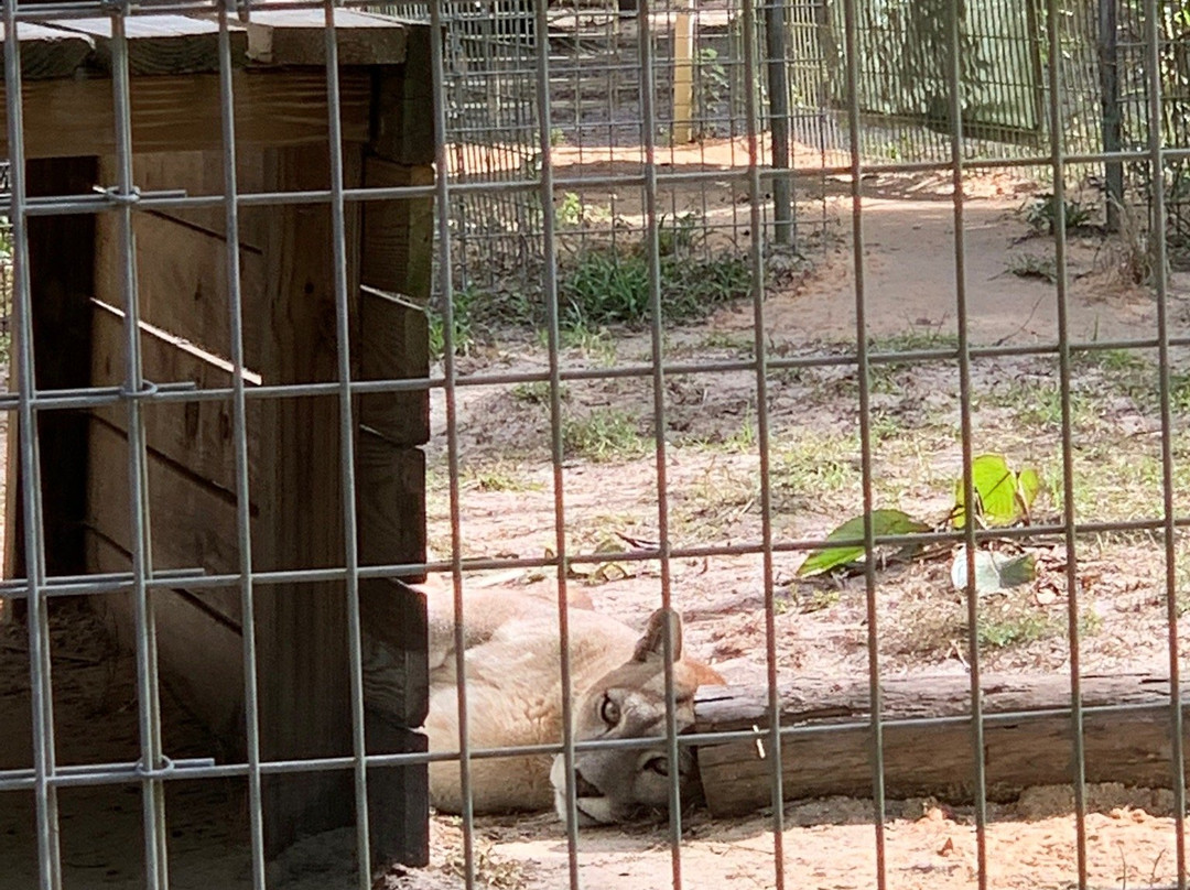 Forest Animal Rescue-Silver Springs必去景点