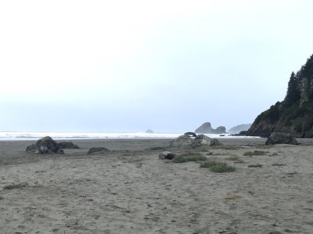 Moonstone Beach景点图片