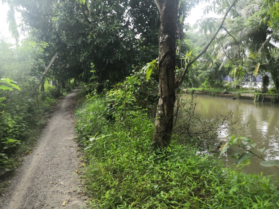 Mekong Land Tours Can Tho-芹苴必去景点