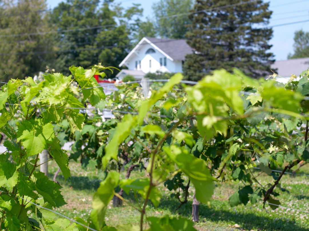 Bar Harbor Cellars Winery景点图片