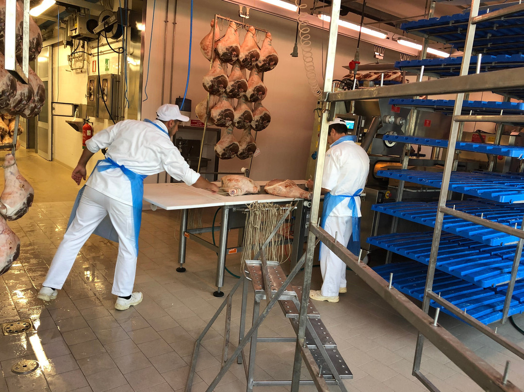 Discover with Laura - Food Tours in Parma-帕尔马必去景点