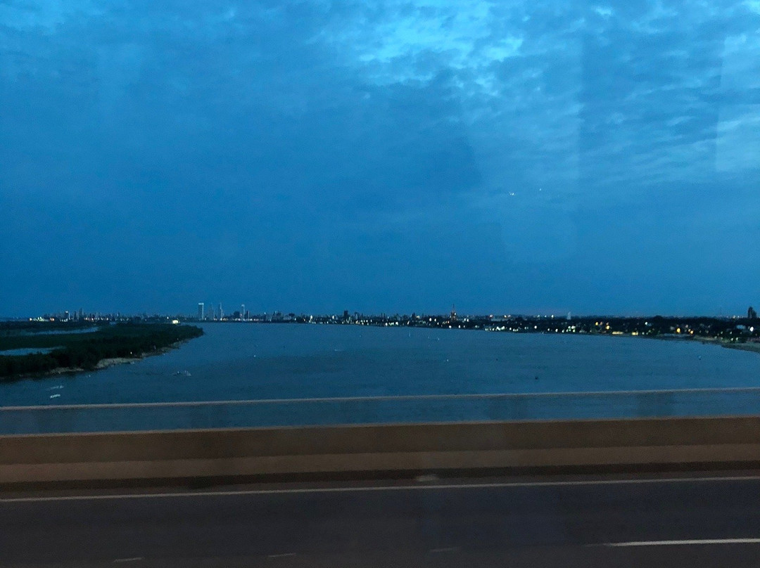 Rosario-Victoria Bridge景点图片