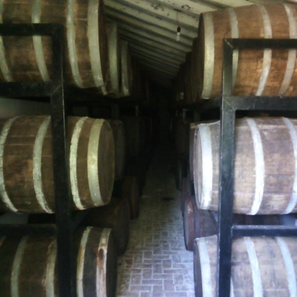 Mazatlan Tours-马萨特兰必去景点