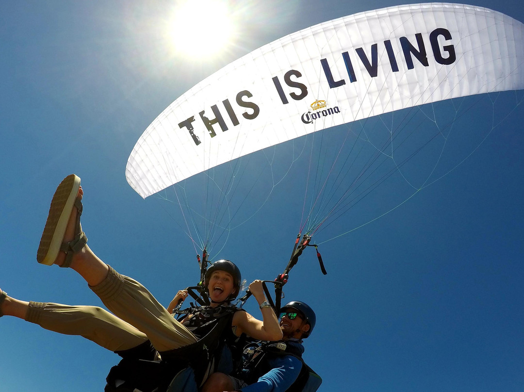 Winelands Paragliding-帕尔必去景点