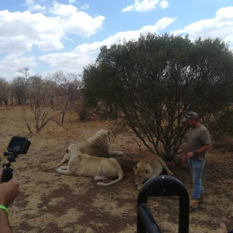 Pilanesberg National Park-太阳城必去景点