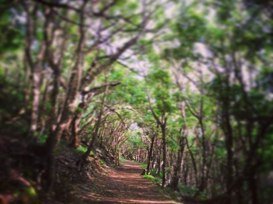 Baias da Agualva景点图片