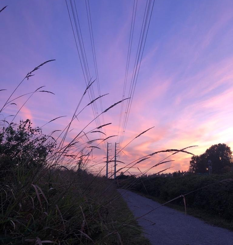 Colony Farm Regional Park-高贵林港必去景点